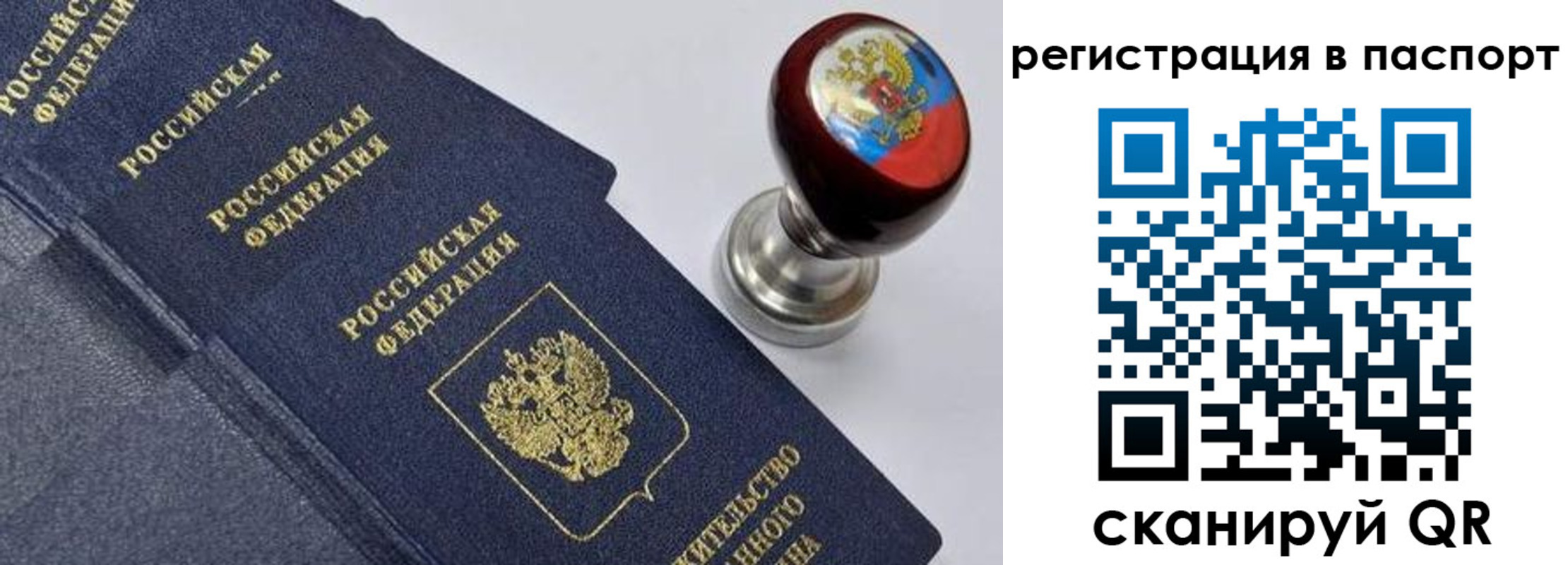 прописка поиск в Белореченске